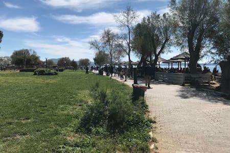Cozy studio 50m from sea Ateny Zewnętrze zdjęcie